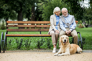 nice senior couple sitting on wooden bench and adorable dog lying nearby on ped sidewalk