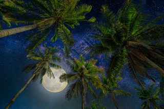 Silhouette coconut palm tree with the full Moon and Milky way galaxy on night sky. (Elements of this