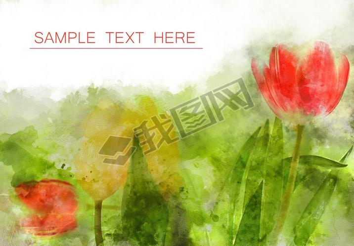 floral watercolor tulips background for card or other design, white space for sample text