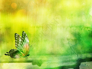 Natural background with butterly. Watercolor