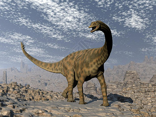 Spinophorosaurus ɳĮ-3d Ⱦ