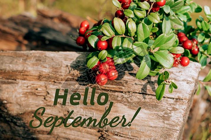 ׮кɫĸӡHELLO, SEPTEMBER,,ĸ.ѡؾ۽ǳˮ