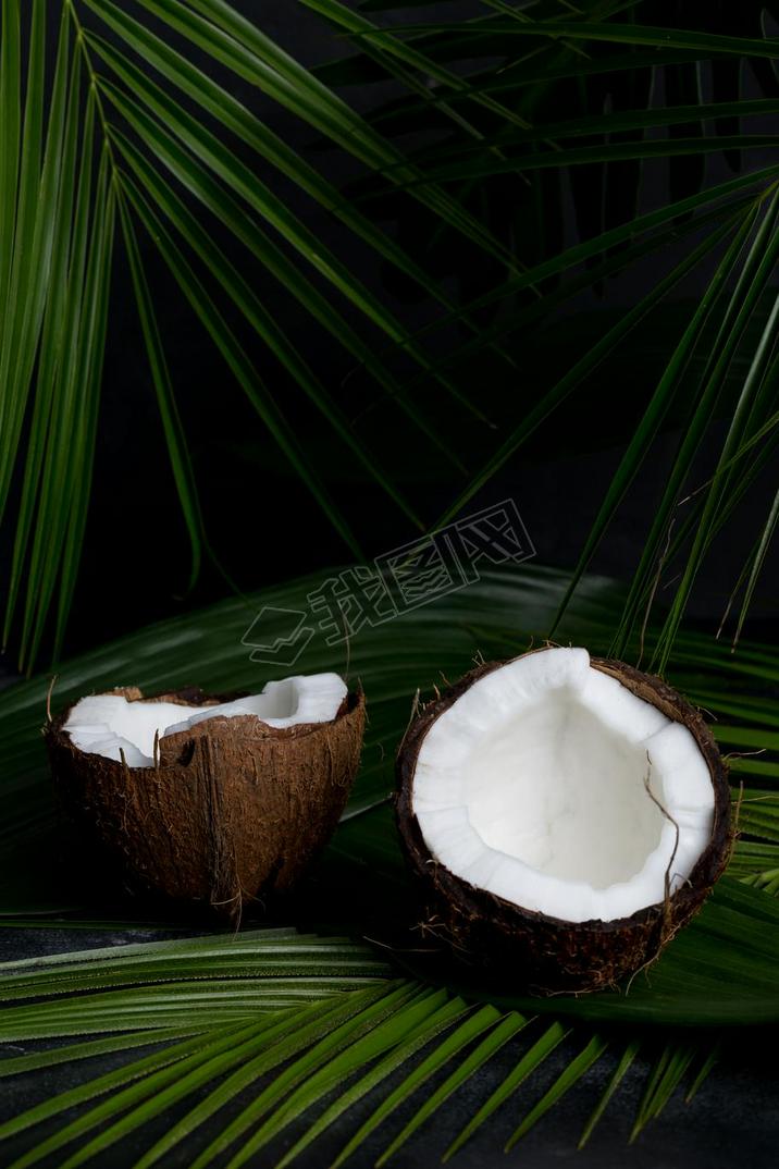 Coconut on dark tropical lees