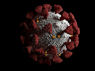 Covid-19 Coronirus SARS-CoV-2ϸв3DȾ3D˵