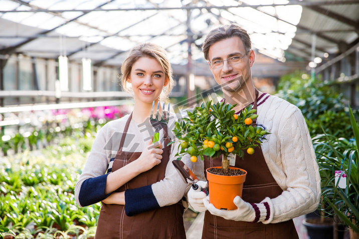 Happy attractive woman and man gardeners holding all mandarine tree 