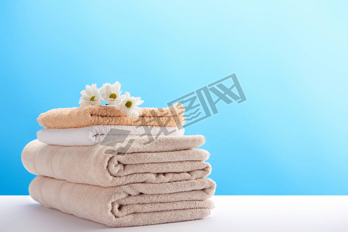 close-up view of beautiful chamomiles on pile of clean soft towels on blue 