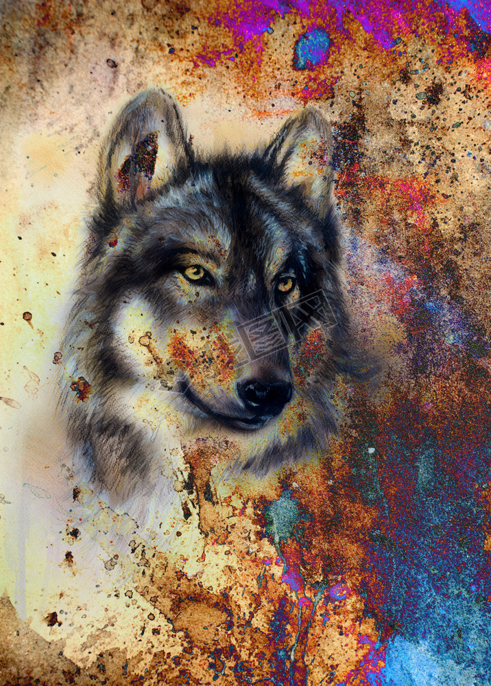 Wolf painting, color abstract effect on background