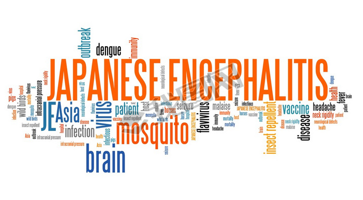 Japanese encephalitis word cloud