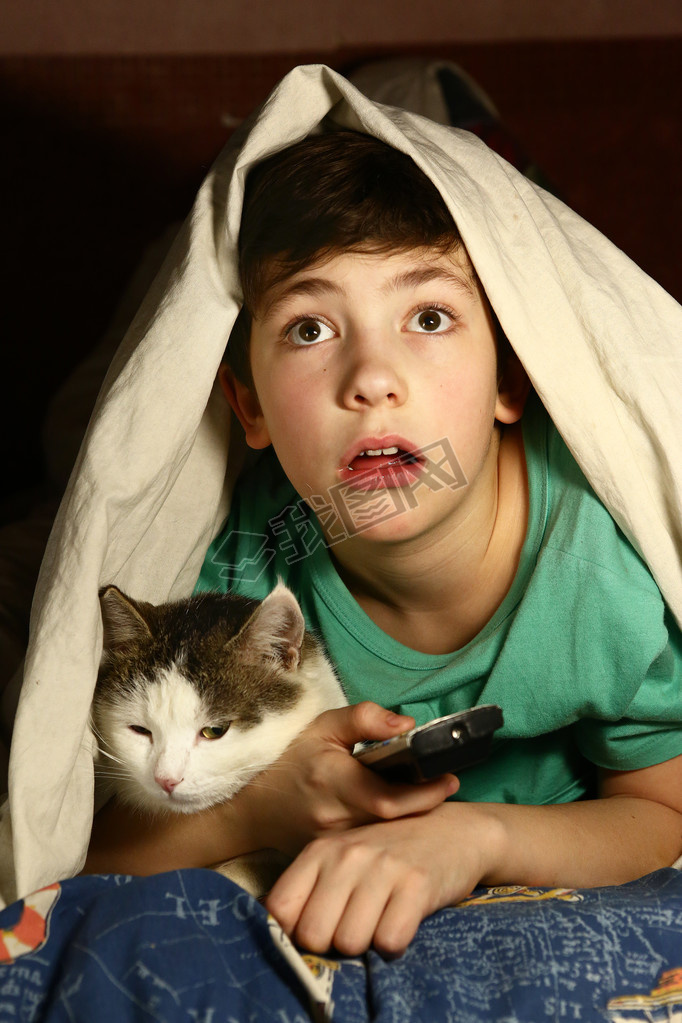 boy with cat  watch horror movie