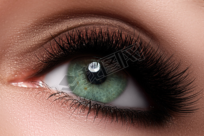 Macro shot of woman's beautiful eye with extremely long eyelashes. Sexy view, sensual look. Female e