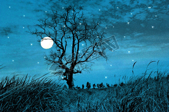 night forest on a starry sky background