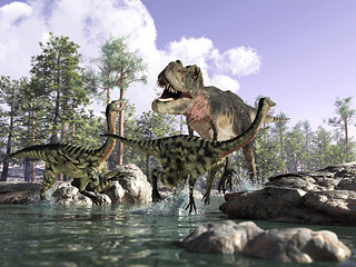  3 d ֳı gallimimus