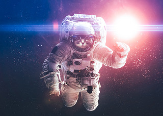 Beautiful cat in outer space. Elements of this image furnished b