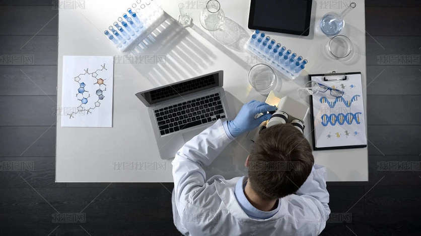 鞭毛在显微镜下