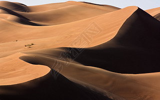 Dubai desert with beautiful sandunes