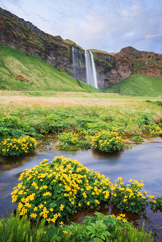 Seljalandsfoss ٲķ羰һӺһ仨ɽʤ