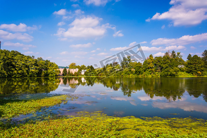 Pond in Spring Grove, Pennsylvania. 