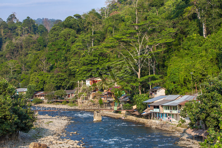 Bukit lawang village