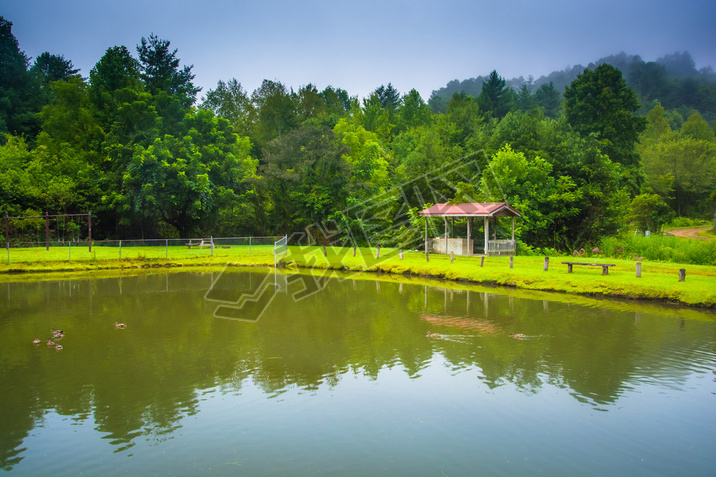 Pond in Roan, North Carolina. 