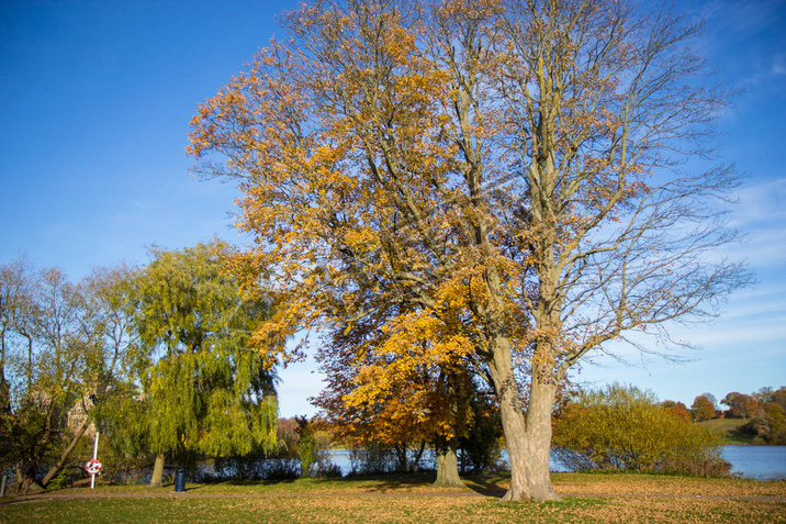  Frederiksbork ԰, Hilleroed, 