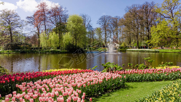 Keukenhof, Lisse, Netherlands - April 18, 2016: Keukenhof park in Amsterdam area, Netherlands. Keuke