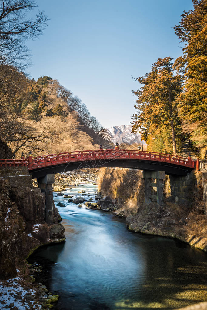 Shinkyo ʯɽ֮ľ֮ձպ (Ųվ)