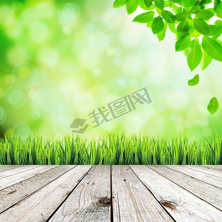 Green natural abstract background