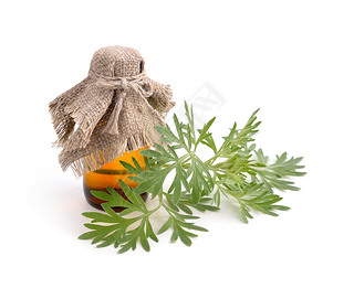 Artemisia absinthium with pharmaceutical bottle.