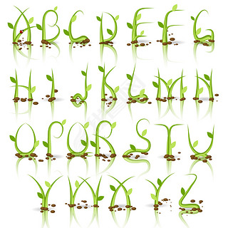 Green plant alphabet with reflection.