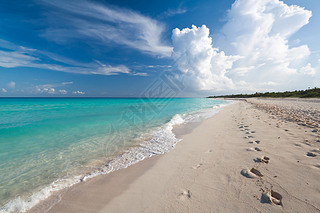 Idyllic beach