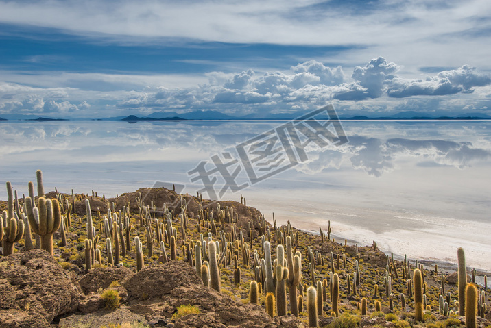 άSalar de Uyuni Incahuasi