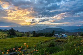 Beautiful rice terraces during sunset