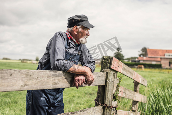 Elderly farmer leaning on paddock fence