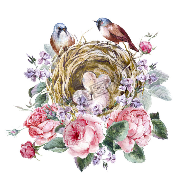 Classical watercolor floral vintage greeting card with rose birds nests and feathers