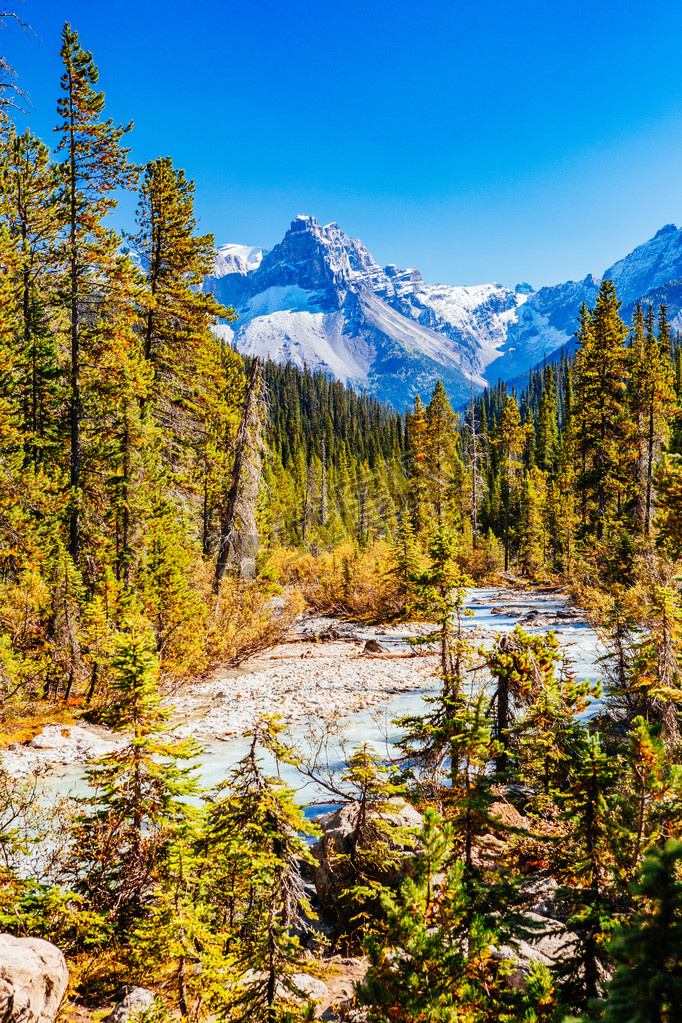 ô󰬲ʡYohoҹ԰Takakkaw Falls