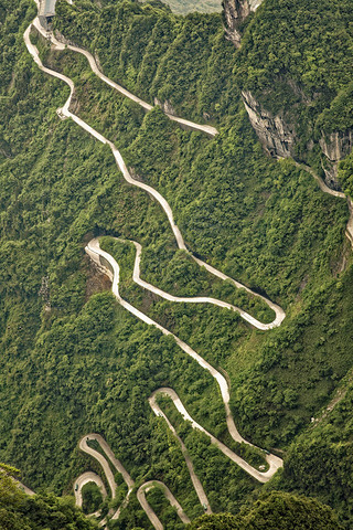 ͨɽѨ· 99 switchbacks, һй, һ·йɽɭֹ԰