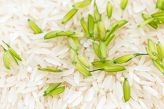 Jaine rice grown in Thailand