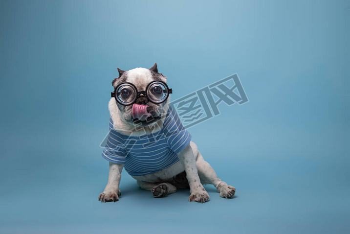 Funny French bulldog with a bottle ass pasta glasses and jersey with his tongue out
