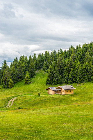 Alpe di Siusi, Seiser Alm with Sassolungo Langkofel Dolomite,һƬï̵ܵأι״