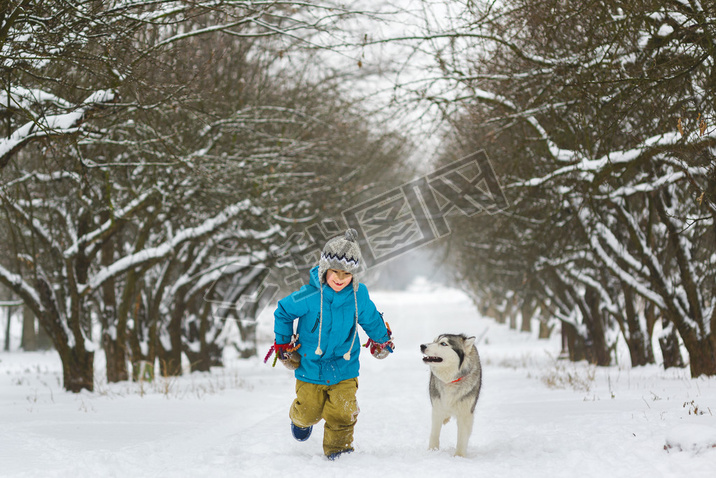 boy running away from dogs or husky outdoors in winter day