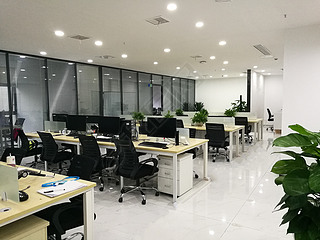 现代简约风格公司办公区电脑桌椅绿植环境图片