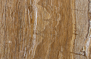 ɫʯWalnuttravertine