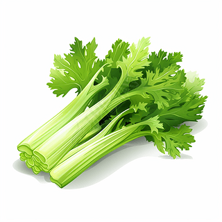 手绘芹菜图片