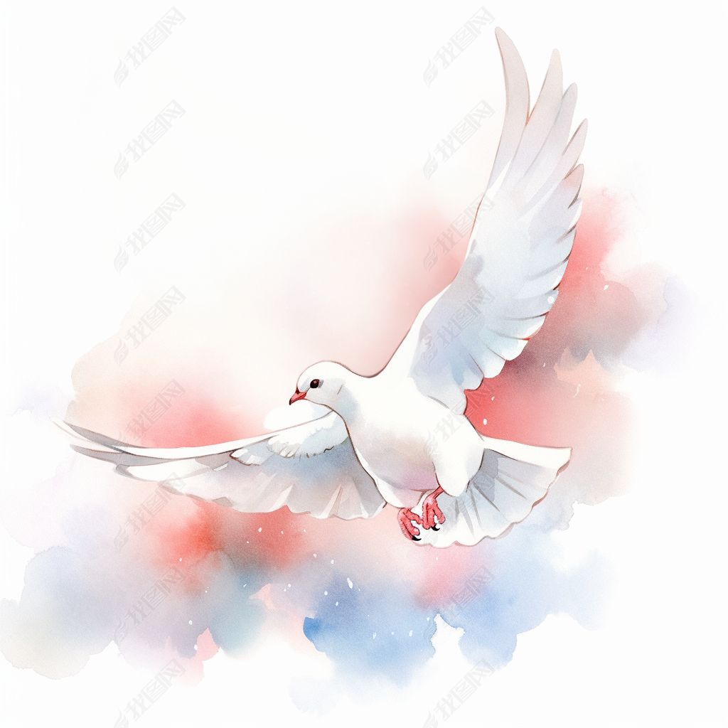 水彩白鸽