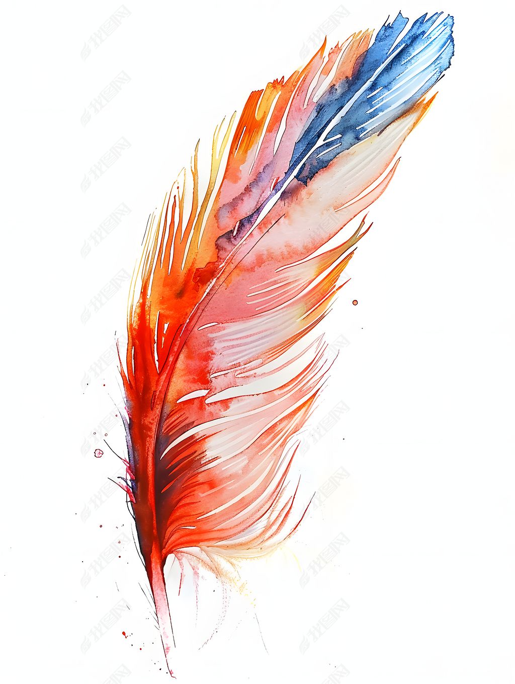 原创手绘彩色羽毛素材元素-版权可商用