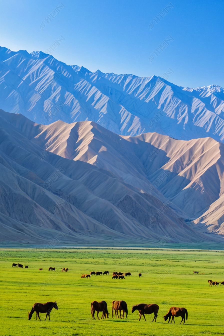 原创美丽天山牧场图片-版权可商用
