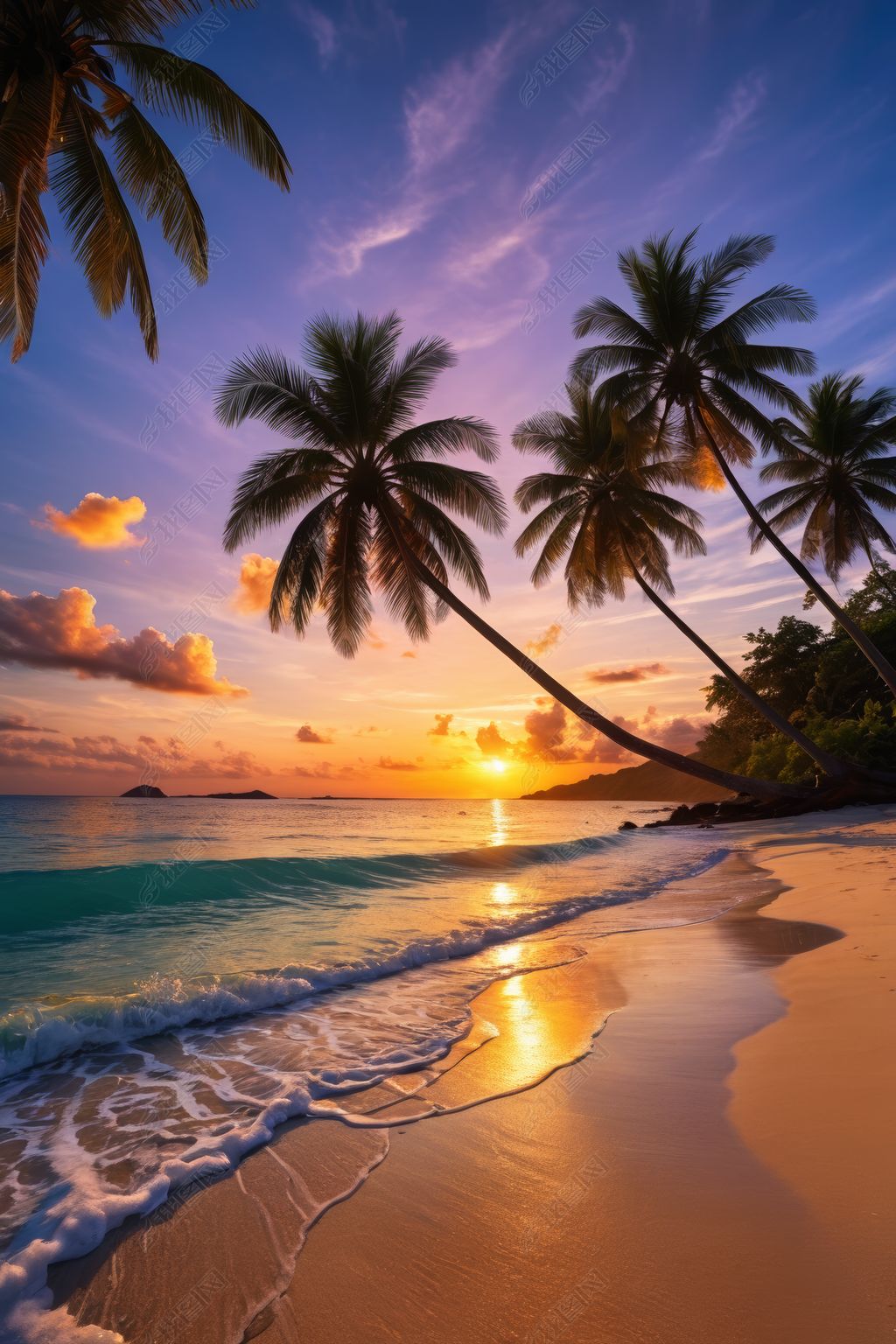 日落时分棕榈树排列在海滩上图片下载-编号34611979--我图网
