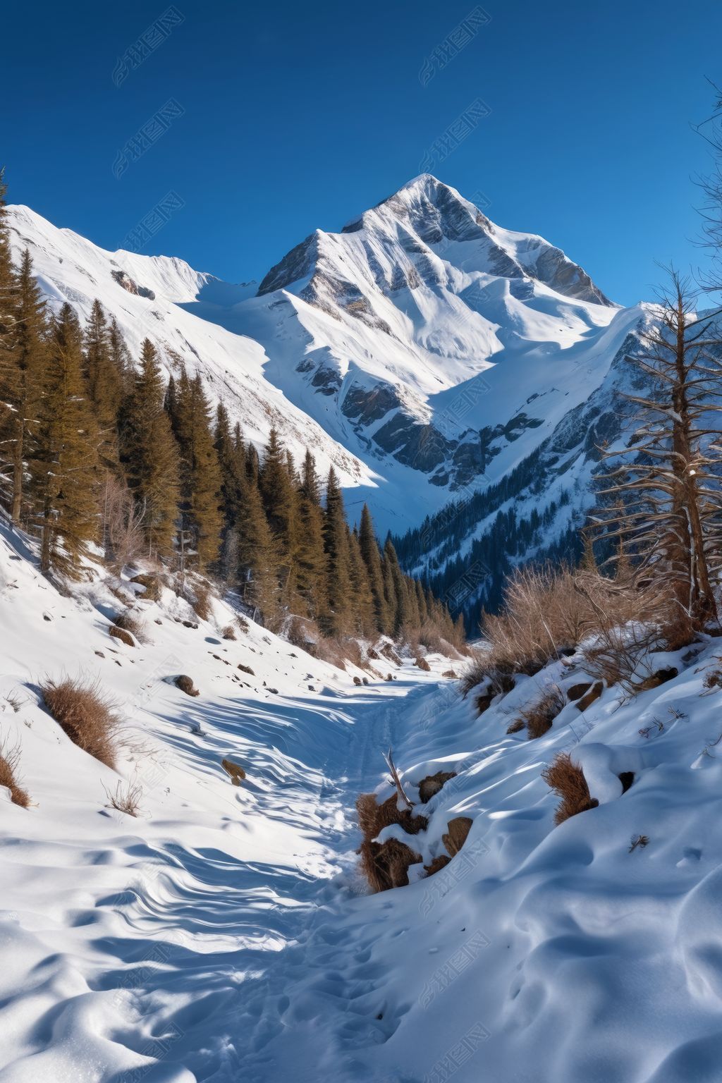 原创冬天户外雪山场景图片-版权可商用