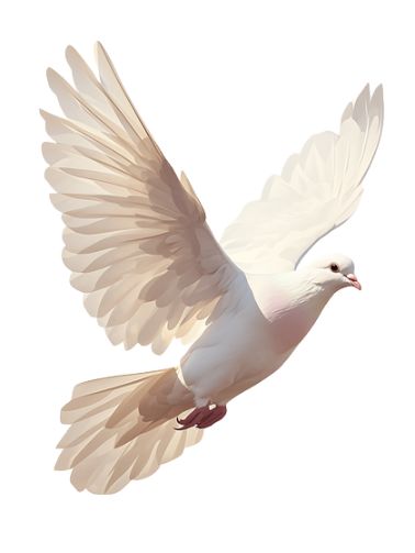 原创白色鸽子党政风建党元素插画和平鸽免抠元素