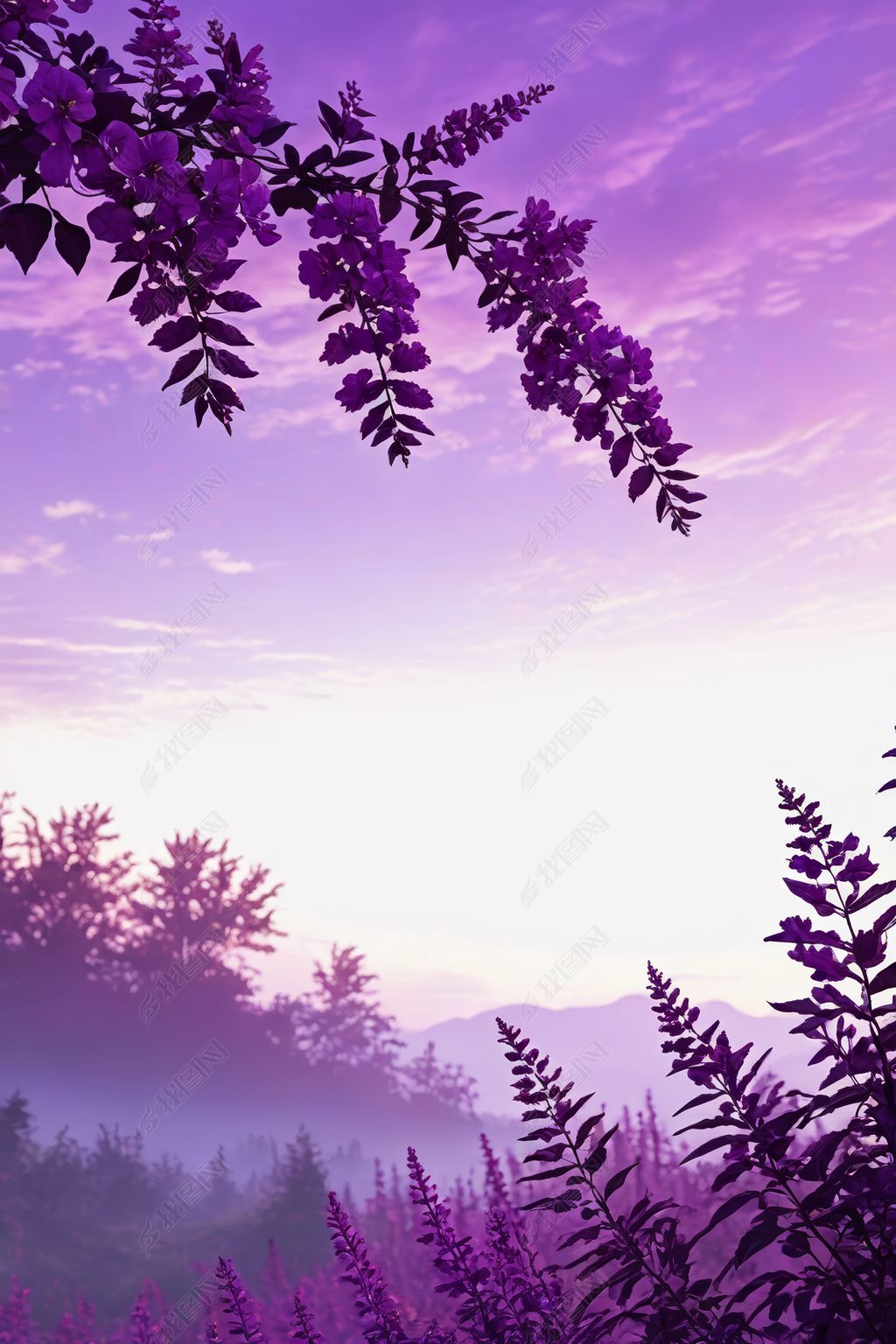 原创紫色的花朵和叶子在紫色的天空背景下高清图片